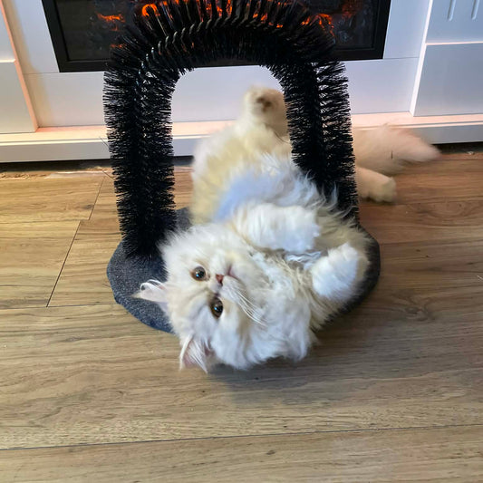 SELF-GROOMING CAT ARCH™