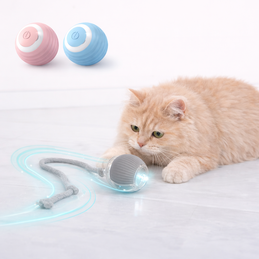 Smart Interactive Cat Toy