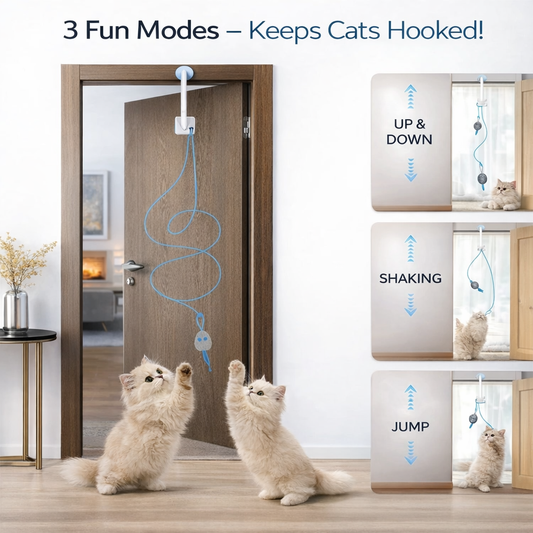 Revuona Automatic Door Hanging Toy